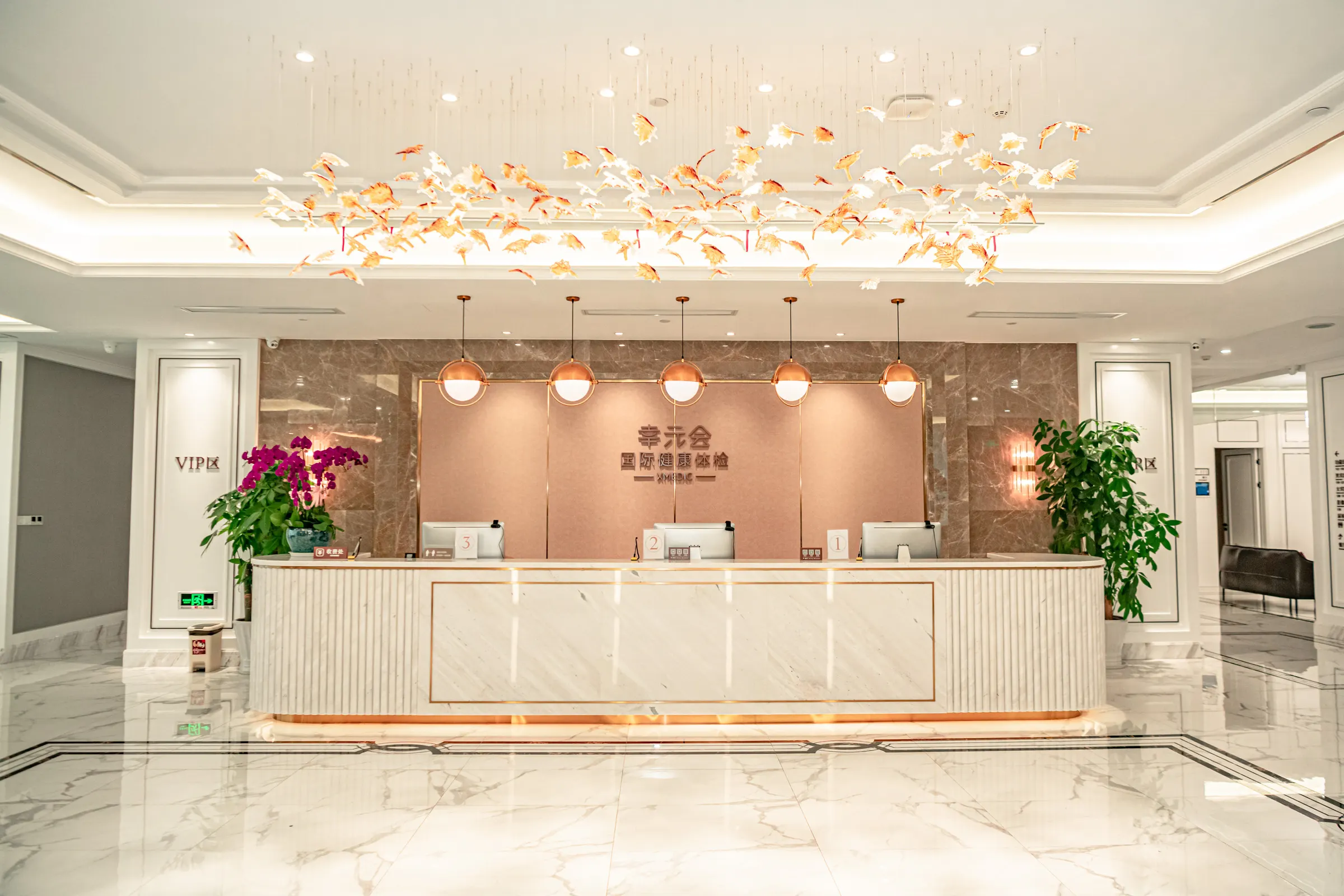 Premium health check-up reception area in Shanghai